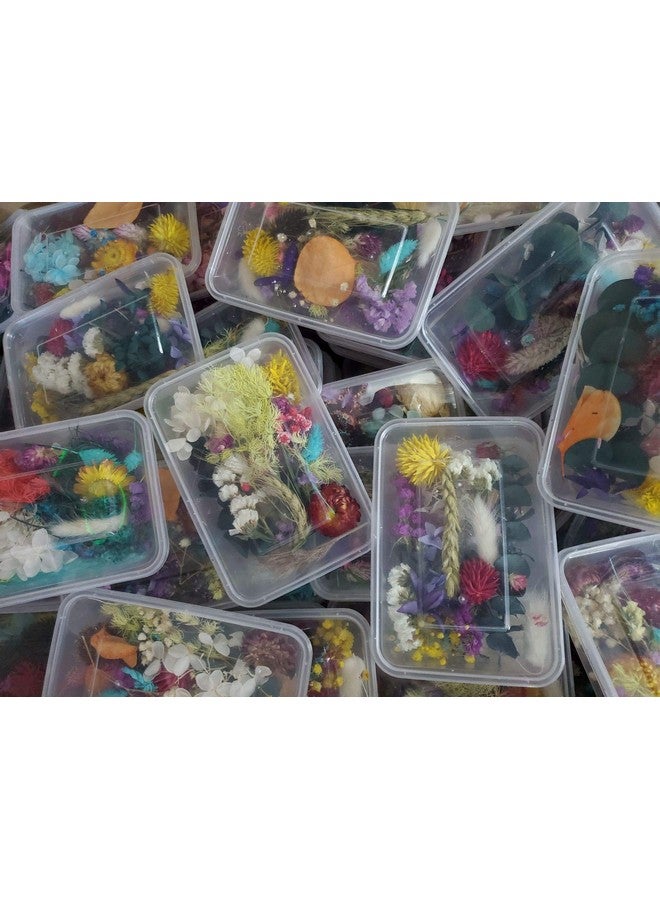 Sorrento Crafts 1 Box Real Natural Dried Flowers Multiple Colorful Assorted Flower For Diy Aromatherapy Candle Photo Frame Home Decoration Pendant Necklace Jewelry Filling Materials  - Image 3