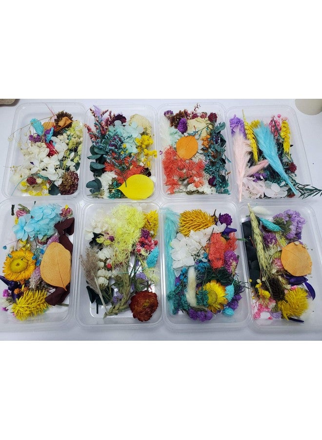 Sorrento Crafts 1 Box Real Natural Dried Flowers Multiple Colorful Assorted Flower For Diy Aromatherapy Candle Photo Frame Home Decoration Pendant Necklace Jewelry Filling Materials  - Image 2