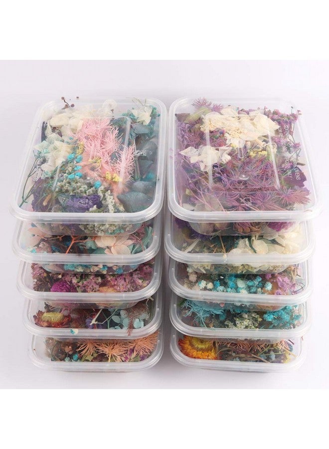 Sorrento Crafts 1 Box Real Natural Dried Flowers Multiple Colorful Assorted Flower For Diy Aromatherapy Candle Photo Frame Home Decoration Pendant Necklace Jewelry Filling Materials  - Image 5