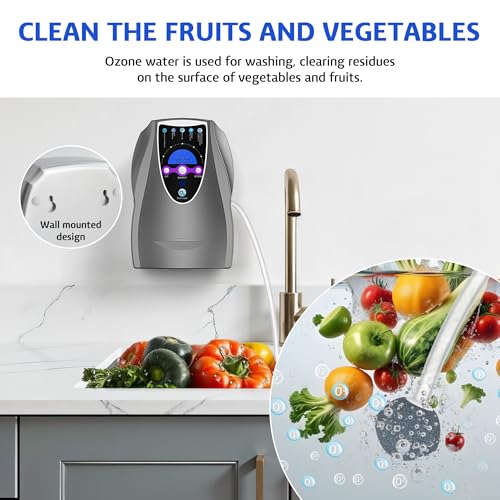 VTAR Ozone Machine, 1000mg/h Multipurpose Ozone Machine for Air, Water, Fruits, Vegetables Cleaner Device in Water - Dark Gray - Image 4