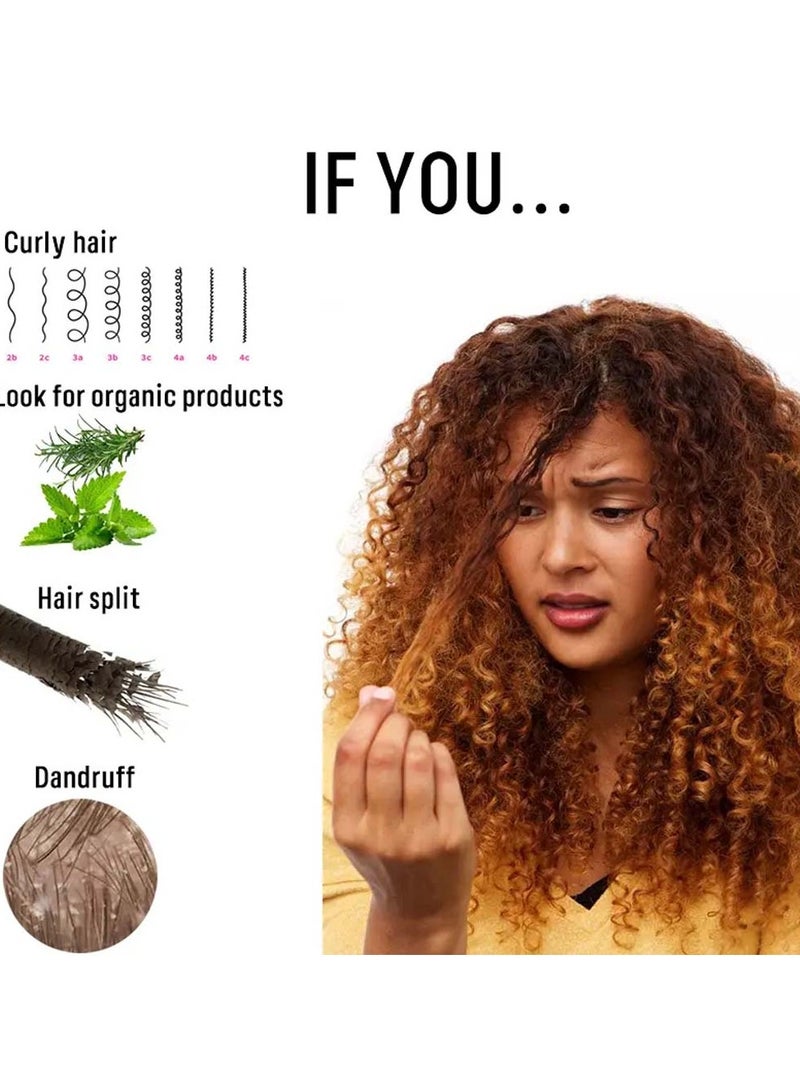 Fearlex ROSEMARY Mint Hair Strengthening Shampoo | Infused  with Biotin for Strengthening & Nourishing Weak and Brittle Hair 355 ml - Image 3