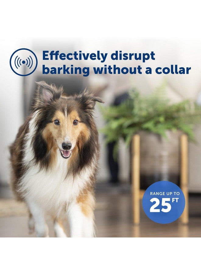بيت سيف جهاز التحكم في نباح الكلاب بالموجات فوق الصوتية من PetSafe للاستخدام الداخلي - لا حاجة إلى طوق - مدى يصل إلى 25 قدمًا - نظام تدريب الحيوانات الأليفة المضاد للنباح - أوتوماتيكي مع زر تدريب يدوي - Image 3