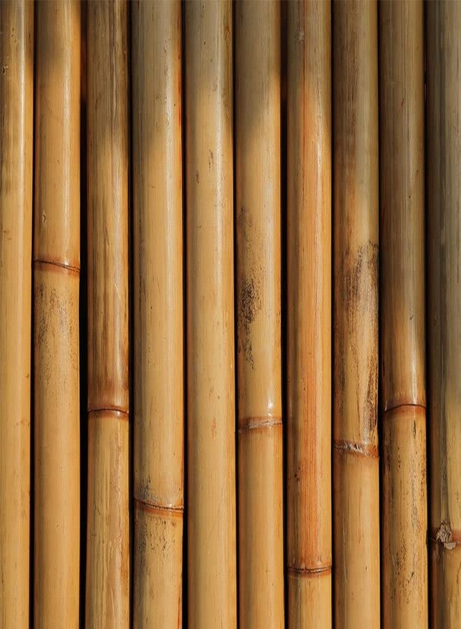 Pristine C Curve bamboo toothbrush Soft Pink Bristle pack of 3 Eco friendly toothbrush - Image 5