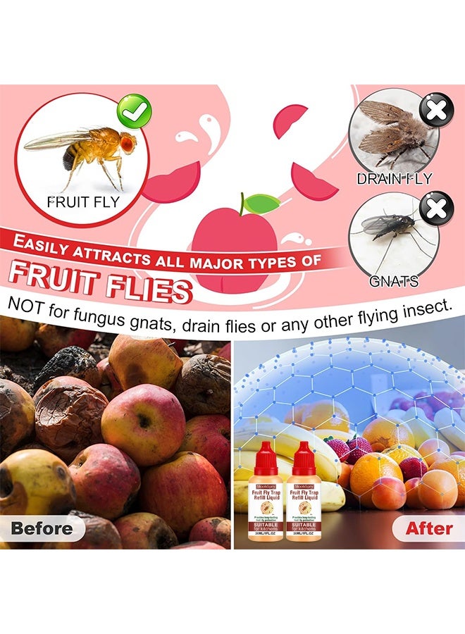 MOONSPRY Fruit Fly Trap Refill Liquid, Fly Bait Product, Fructose Luring Technology, Continuous Trapping To Reduce Pest Problems, Liquid Fly Traps Refill For Indoors, Effective Lure Refill Gnat Catcher For Home Kitchen Use, Non Toxic Safe Near Food, 30ml - Image 3
