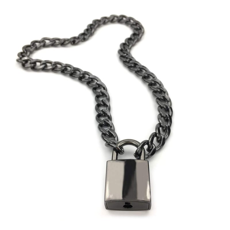 Succuba Padlock Necklace Chain Collar Choker with Two Keys and Box for Women, Men and Pet (D, 16) - Image 1