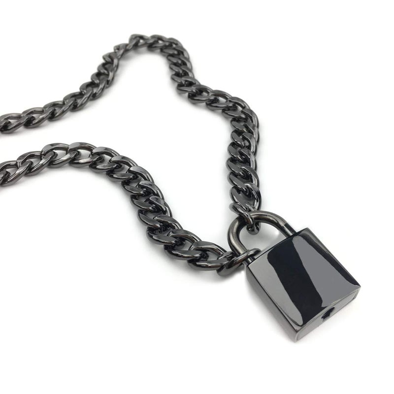 Succuba Padlock Necklace Chain Collar Choker with Two Keys and Box for Women, Men and Pet (D, 16) - Image 2