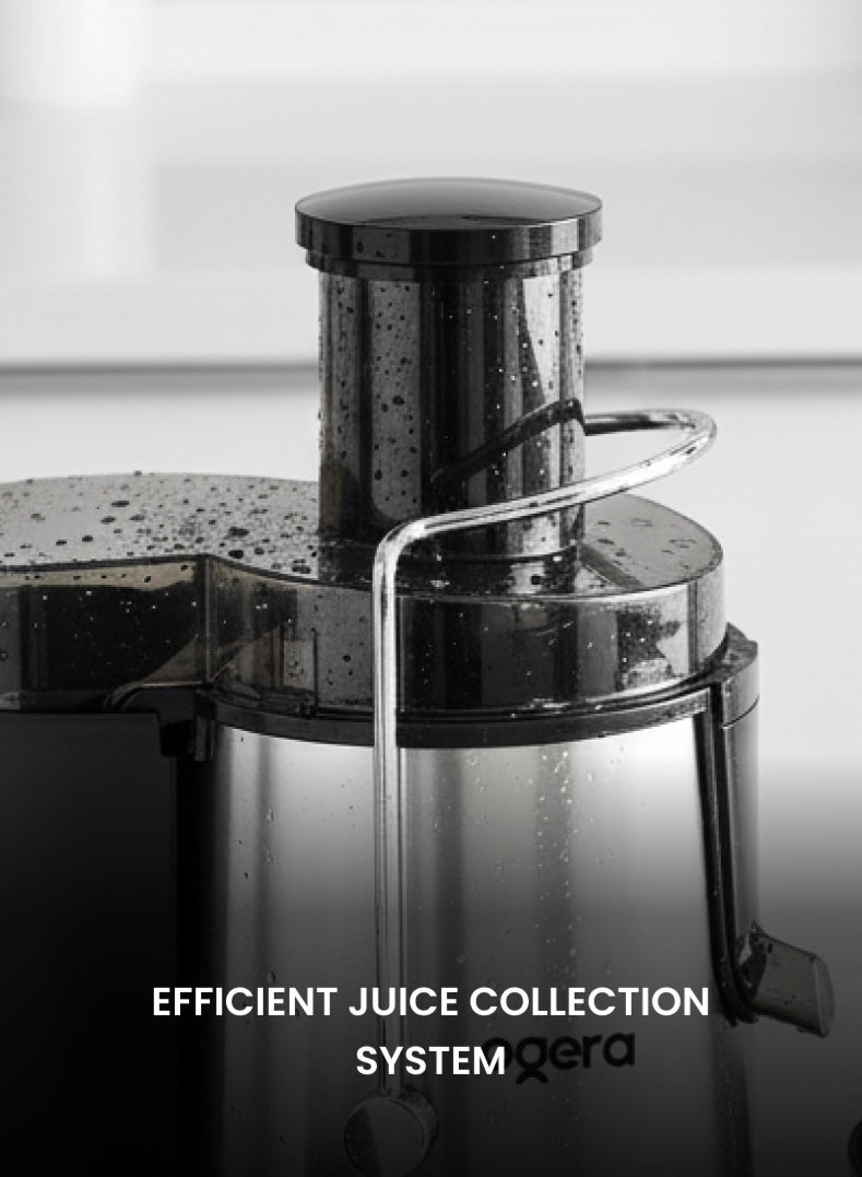 Ogera Juicer Machine 450W | Power Juice Extractor for Fruits & Vegetables | Dual Speed Juicer | Stainless Steel Body | Fast Juice Maker | OG1650JE Silver - Image 5