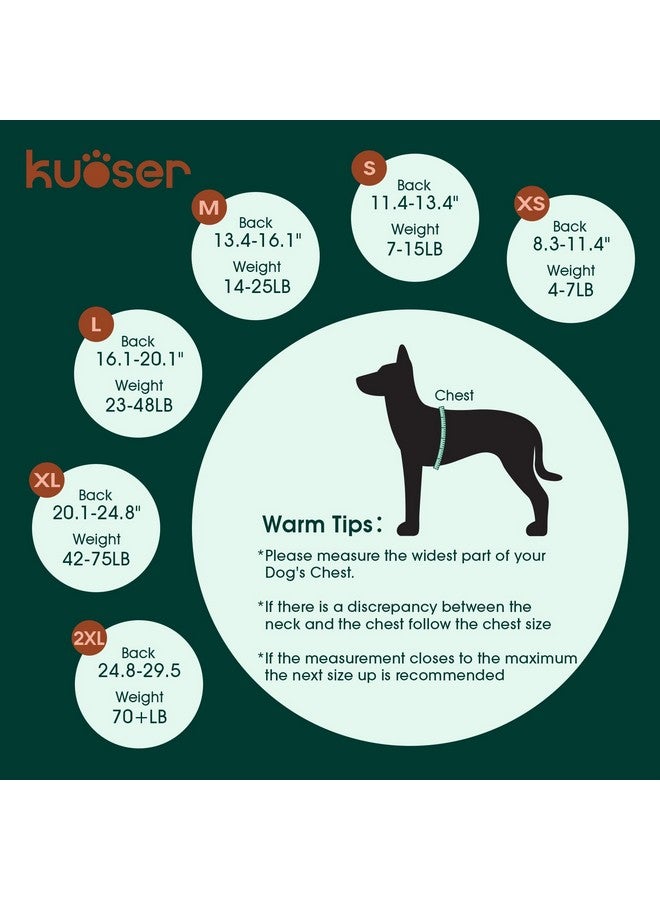 Kuoser Recovery Suit for Dogs Cats After Surgery, Professional Pet Recovery Shirt Dog Abdominal Wounds Bandages, Substitute E-Collar & Cone,Prevent Licking Dog Onesies Pet Surgery Recovery Suit - Image 1