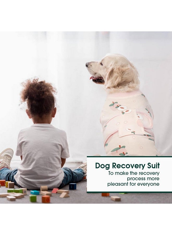 Kuoser Recovery Suit for Dogs Cats After Surgery, Professional Pet Recovery Shirt Dog Abdominal Wounds Bandages, Substitute E-Collar & Cone,Prevent Licking Dog Onesies Pet Surgery Recovery Suit - Image 4