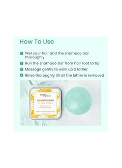 Earth Rhythm Anti Dandruff Shampoo Bar for Itchy and Flaky Scalp Men and Women Contains Arnica Peppermint and Menthol Extracts Sulphate and Paraben Free 80gm Cardboard  - Image 3