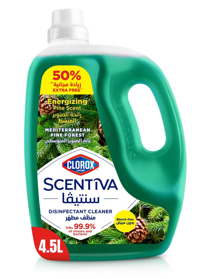 Clorox منظف الأرضيات متعدد الاستخدامات المعقم بدون مبيض برائحة الصنوبر سسينتيفا - Image 1