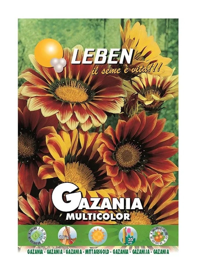 Leben Gazania Multicolor Premium Quality Seeds Made in Italy