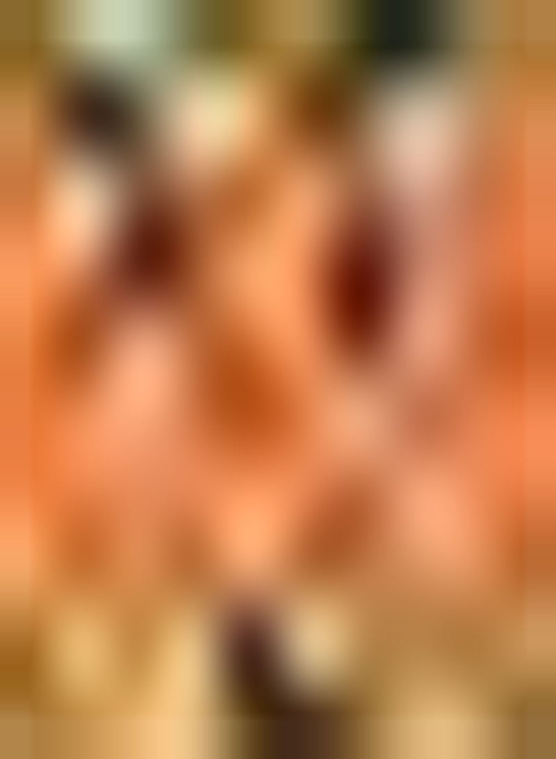 GGOOT 10pcs Oranje gladiolen bollen bloeiende prachtige kleuren Laten mensen schijnen geplant in onze eigen tuin voeg EEN vleugje kleur Toe - Image 2