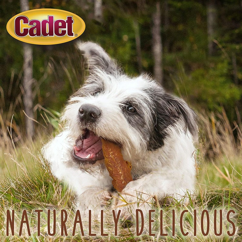 Cadet 3 Pack Cadet Gourmet Chicken Breast Healthy Natural Dog Treats 14 Ounces Per Bag - Image 5