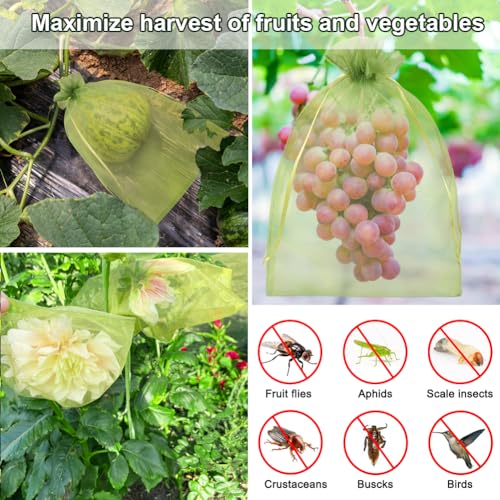 Shintop 100Pcs Fruit Protection Bags, 8x12 Inch Green Grape Netting Cover Drawstring Mesh Bags Pest Barrier for Fruit Trees Flower - Image 5