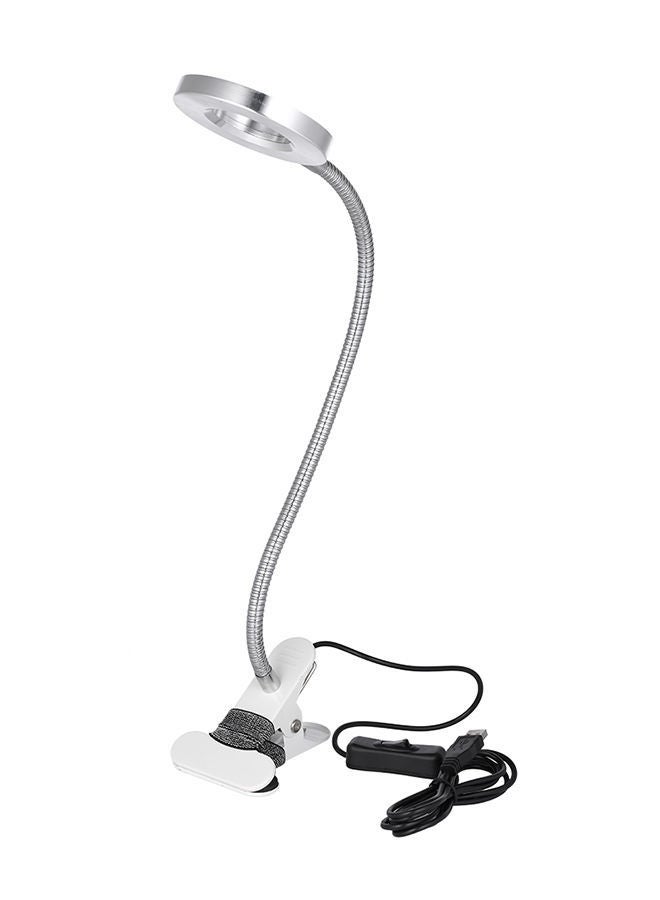 NIBEMINENT Desk Lamp for Nail Art Tattoo Silver - Image 1