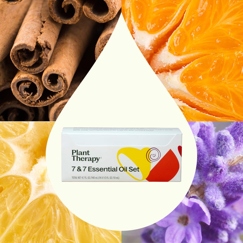 Plant Therapy 7 & 7 Essential Oils Set 7 Single Oils: Lavender, Peppermint & More, 7 Synergy Blends 100% Pure, Undiluted, Natural Aromatherapy, Therapeutic Grade 10 mL (1/3 oz) - Image 3