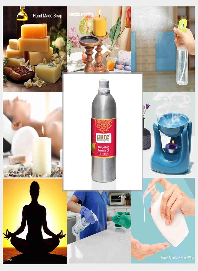 Pure Source India Ylang-Ylang Essential Oil (1L) - Image 3