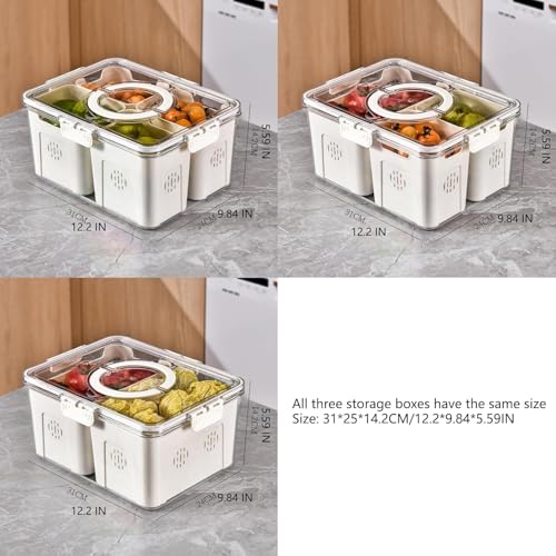 Vasukie Divided Fridge Storage Boxes With 4 Serving Veggie Tray with Lid and Handle, Fridge Organizer with Removable 4 Compartment, Fridge Storage Containers (4 Large Compartment-1PC) - Image 2