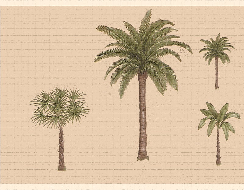 Dundee Deco Wallpaper Border Peel and Stick DDAZBD9325 Nature Green Brown Palm Trees Wall Border Retro Design 15 ft x 7 in 457m x 1778cm Self Adhesive