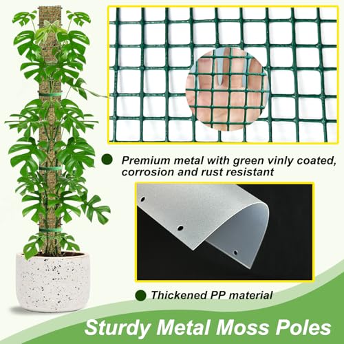 HOLANHING 60" Metal Moss Pole, D Shape Sphagnum Moss Pole, Moss Poles for Climbing Plants, Monstera, Indoor Climbing Plants (6Pcs 60") - Image 3