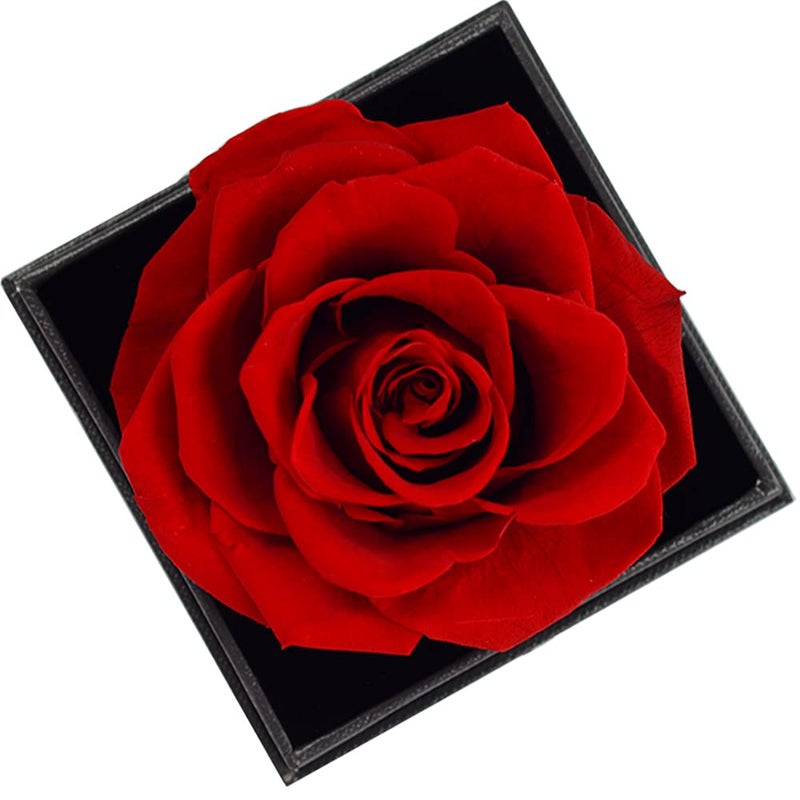 AZKAQA AZKAQA Preserved Flower Rose with Love You Necklace in 100 Languages Gift for Her Enchanted Real Rose Flower Valentines Mothers Day Anniversary Wedding Romantic Gift for Girlfriend Wife Mom  - Image 3