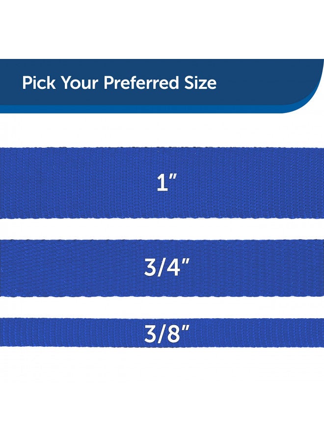PetSafe Nylon Dog Leash - Strong, Durable, Traditional Style Leash with Easy to Use Bolt Snap - 3/4 in. x 6 ft., Royal Blue - Image 5