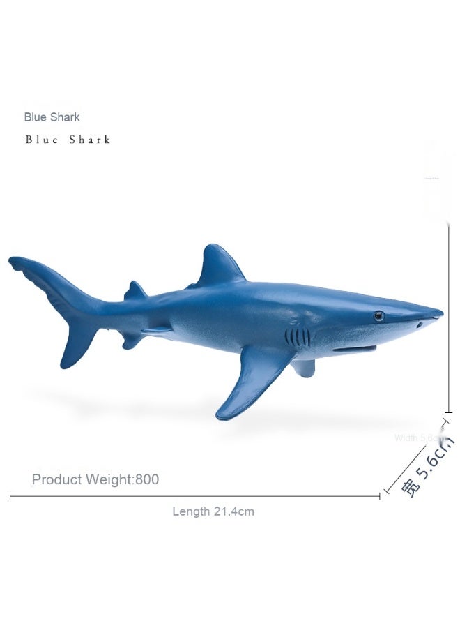 NIBEMINENT Realistic Ocean Creatures Model - Shark and Blue Whale Toys