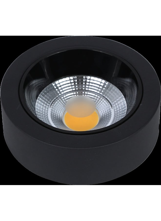 TOEFL Visible anti-glare lamp, black frame, yellow lighting color, 18 watts, 20 cm, TOEFL  - Image 1