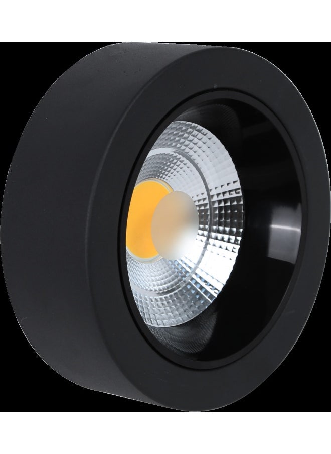 TOEFL Visible anti-glare lamp, black frame, yellow lighting color, 18 watts, 20 cm, TOEFL  - Image 2