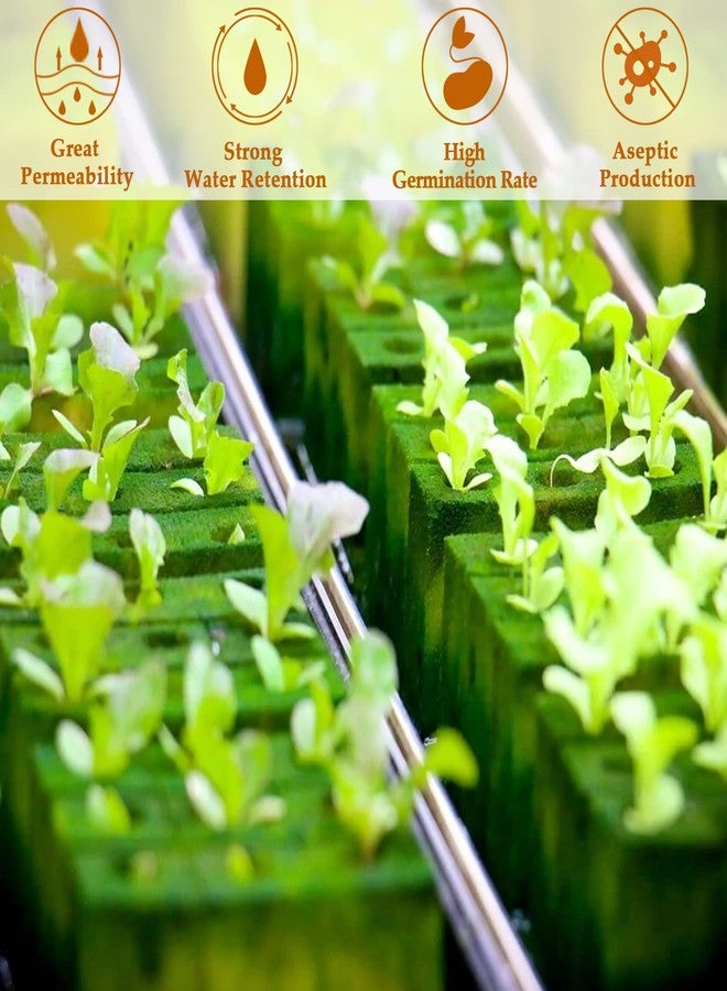 Legigo 1 Inch Rockwool Cubes Seed Starter Grow Cubes for Hydroponics, Rock Wool Planting Cubes Clone Cubes Soilless Cultivation Hydroponics Pods for Garden Plants Germination (4 Sheet, 200 Plugs) - Image 4