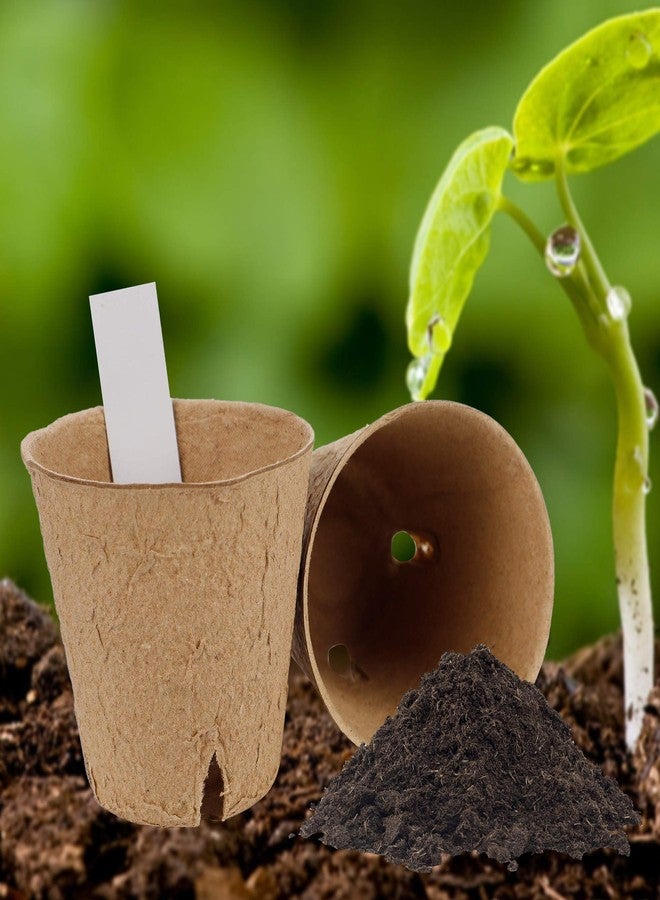 winemana Round Biodegradable Peat Pots for seedlings, 3 x 3 in, 100 Pack Plant Starter Pots Kit 100 Plant Labels, Perfect for Vegetables, Fruits, Succulents - Image 5
