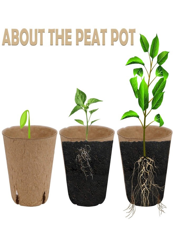 winemana Round Biodegradable Peat Pots for seedlings, 3 x 3 in, 100 Pack Plant Starter Pots Kit 100 Plant Labels, Perfect for Vegetables, Fruits, Succulents - Image 3
