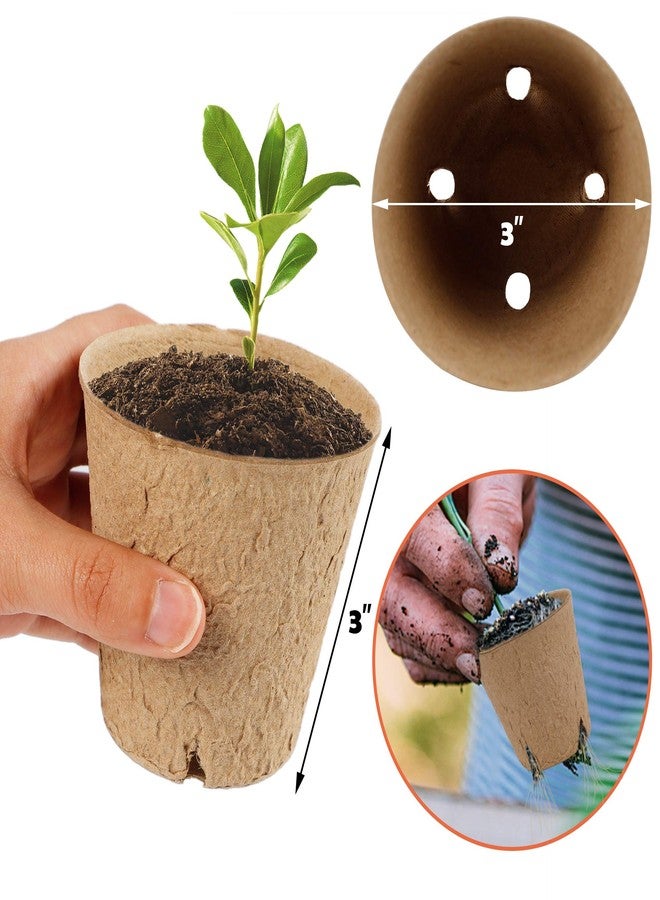winemana Round Biodegradable Peat Pots for seedlings, 3 x 3 in, 100 Pack Plant Starter Pots Kit 100 Plant Labels, Perfect for Vegetables, Fruits, Succulents - Image 4