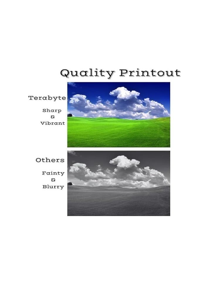 Terabyte 12A Q2612A (2PC) Compatible Toner Cartridge Black to use with Laserjet 1012 1022 1020 1018 1022N 1010 3015 3050 3030 3052 3055 M1319F Printers - Image 3