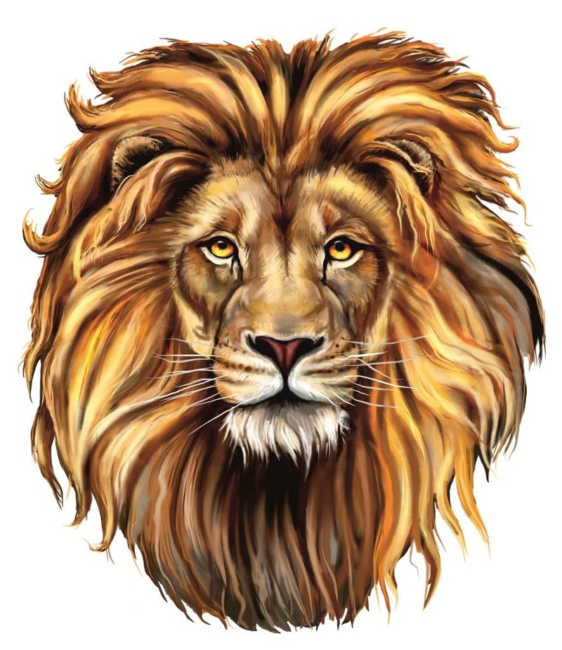 Akki World PVC Big Lion King Self Adhesive Wall Sticker for Bedroom, Kids Room, Living Room, Dining Hall, Cafe (Size - 35 Cm X 41 Cm) - Image 1