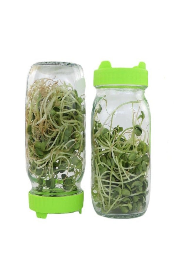 EDOBLUE Sprouting Kit for Homegrown Alfalfa & Bean Sprouts - 2 Mesh Lids for Mason Jars Allow Draining - Image 3