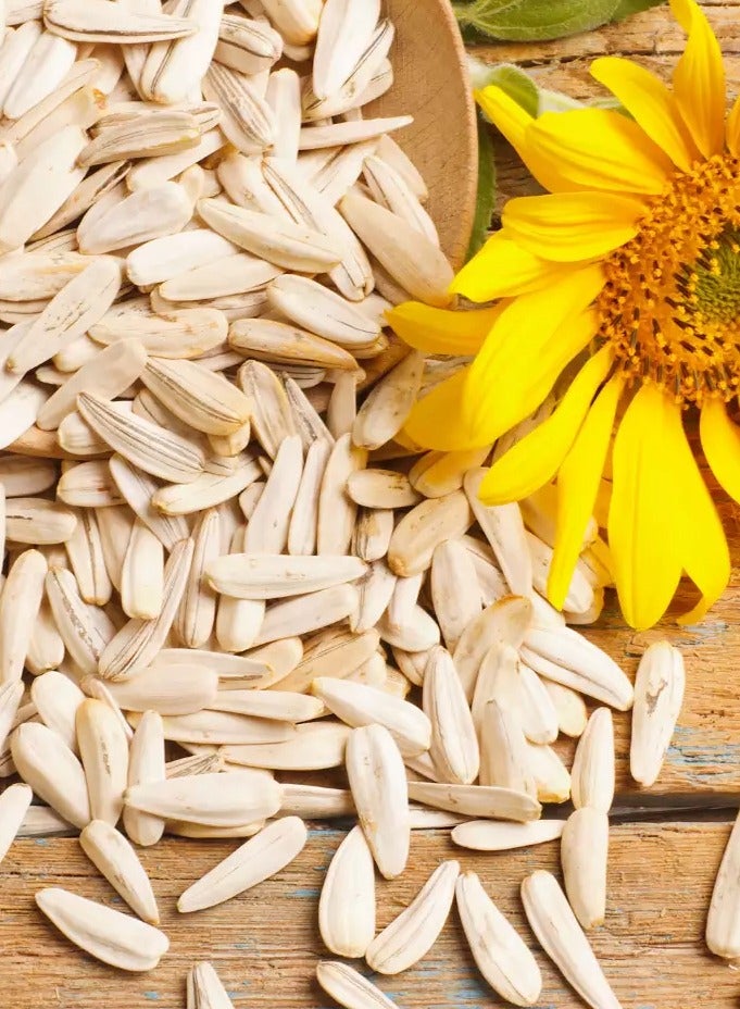 Be Natural Sunflower Seeds – 250 gm - Image 2