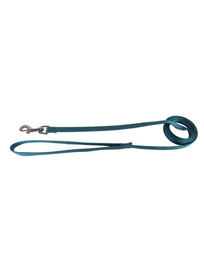 Hamilton Single Thick Nylon Lead with Swivel Snap, 3/8-Inch x 6-Feet Long, Teal