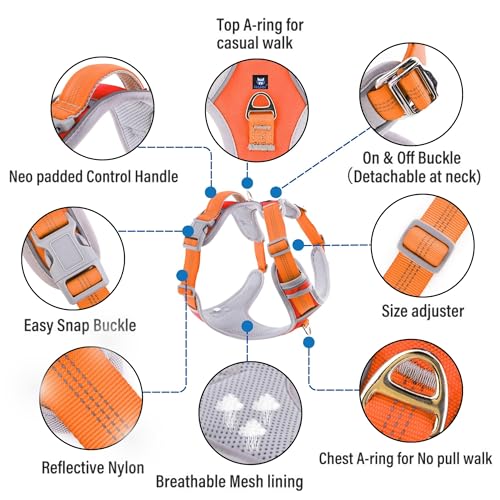 HANK Dog Harness | 3M Reflective | Strong Metal Hook | Dog Chest Belt for Large Dogs | No Pull Harness for Walking, Training (Orange - Grey - L (23-35Kg) - Image 2