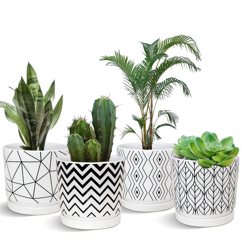 Ton Sin Plant Pots,5.5 Inch White Pots for Indoor Plants with Drainage Holes,Cylinder Flower Pot Ceramic Planters with Saucer,Cactus Succulent Outdoor Garden Pots Set of 4 - Image 1