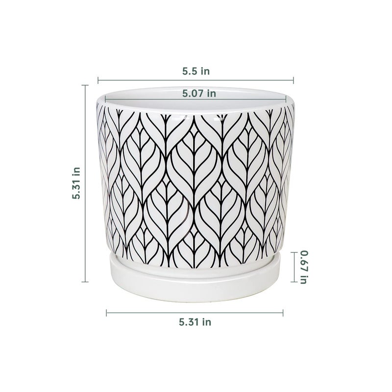 Ton Sin Plant Pots,5.5 Inch White Pots for Indoor Plants with Drainage Holes,Cylinder Flower Pot Ceramic Planters with Saucer,Cactus Succulent Outdoor Garden Pots Set of 4 - Image 2