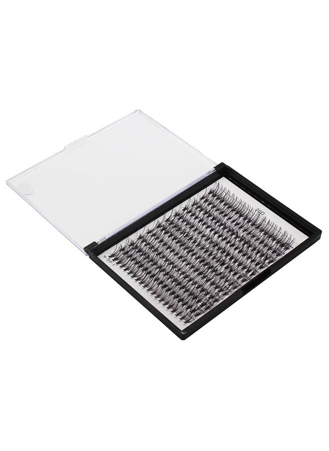 Bodermincer 10D/20D/30D/40D/50D Cluster to Choose Large Tray 240pcs D Curl 8-22mm to Choose Professional Makeup Individual Cluster EyeLashes Grafting Fake False Eyelashes Eyelash Extension Individual  - Image 3