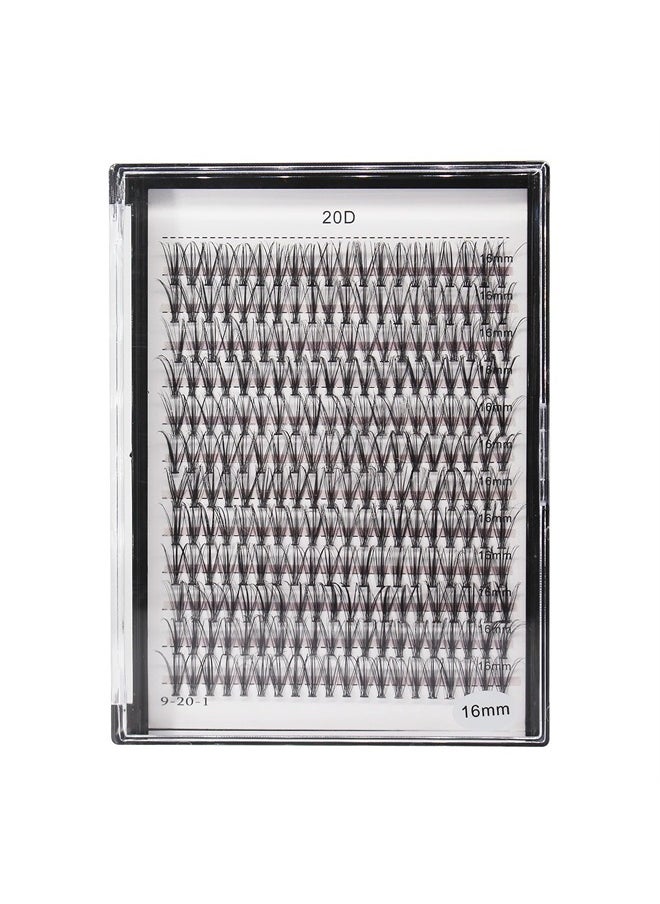 Bodermincer 10D/20D/30D/40D/50D Cluster to Choose Large Tray 240pcs D Curl 8-22mm to Choose Professional Makeup Individual Cluster EyeLashes Grafting Fake False Eyelashes Eyelash Extension Individual  - Image 5