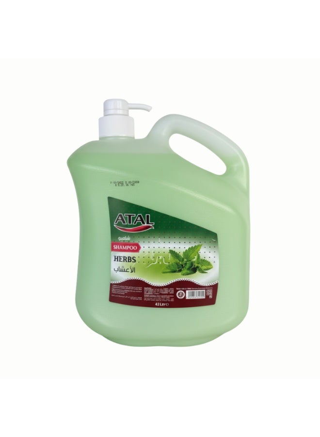 ATAL Shampoo 4200 ml - Herbs