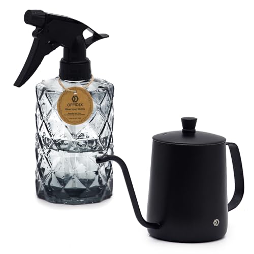 OFFIDIX Watering Can for Indoor Plants,Long Spout Metal Stainless Steel 21 oz/600 ml Watering Can with 14 oz/400ml Glass Plant Mister Spray Bottle for Plant Bonsai - Image 1