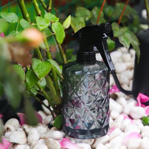 OFFIDIX Watering Can for Indoor Plants,Long Spout Metal Stainless Steel 21 oz/600 ml Watering Can with 14 oz/400ml Glass Plant Mister Spray Bottle for Plant Bonsai - Image 5