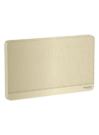 Schneider Electric AvatarOn, 2G Blank Plate, Metal Gold Hairline (Model Number -E8330TX_GH) - pzsku/ZD1492785AB3C065788EEZ/45/_/1680181253/3b456ce0-a473-4772-bcf3-4d9c9b016846