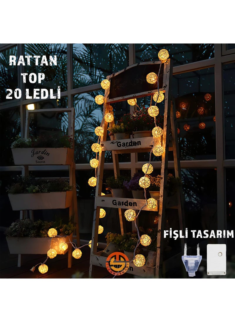 Technosmart Decorative 20-Piece Rattan Model Plug Strip LED Ornament  - Image 1