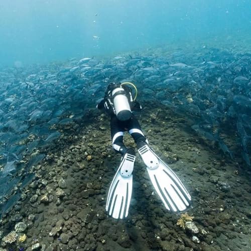 Mares Unisex Adults Avanti Quattro + Diving Fins - Durable Efficient Versatile Open-Heel Scuba Fins with Four-Channel Design & Bungee Strap, White, X-Large - Image 2